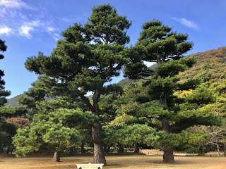 日本