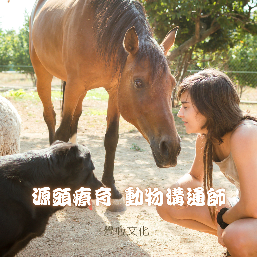 源頭療育 動物溝通師